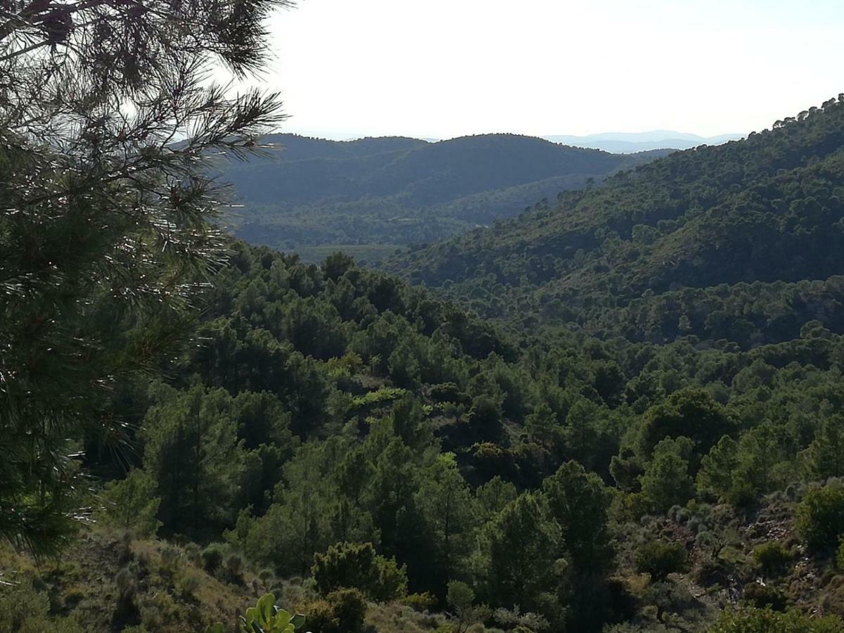 Ca'Ls Avis Guest House Serra Bagian luar foto